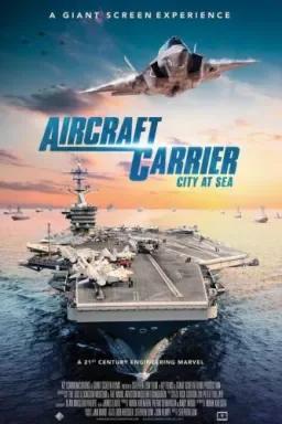 Aircraft carrier cover